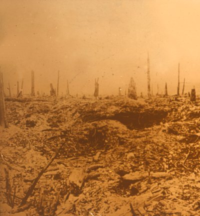 Bois du Chapitre, Vaux, Pohjois-Ranska, c1914-c1918 tekijältä Unbekannt
