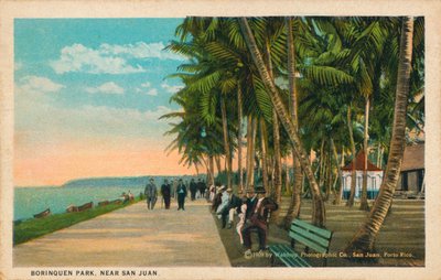 Borinquen Park, lähellä San Juania, 1909 tekijältä Unbekannt