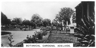 Kasvitieteellinen puutarha, Adelaide, Australia, 1928 tekijältä Unbekannt