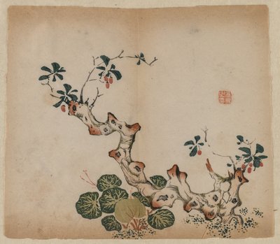 Branching Stump, 1368-1644. tekijältä Unbekannt