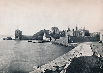Branksea Island - Yleisnäkymä linnalle, 1895 tekijältä Unbekannt