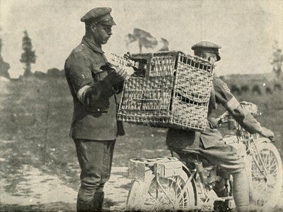 Brittiarmeijan kantokyyhkyset Ranskassa, 1919. tekijältä Unbekannt