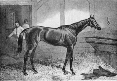 Ruskea herttuatar, 1800-luku, 1911 tekijältä Unbekannt