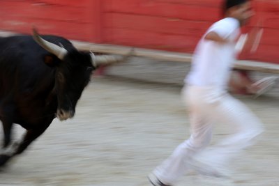 Härkätaistelut (Course camarguaise). Veretön spektaakkeli (sonnille), jossa tavoitteena on napata ruusuke härän päästä, Vallabregues, Ranska tekijältä Unbekannt
