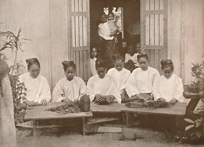 Burman sikarinvalmistajat, 1900. tekijältä Unbekannt