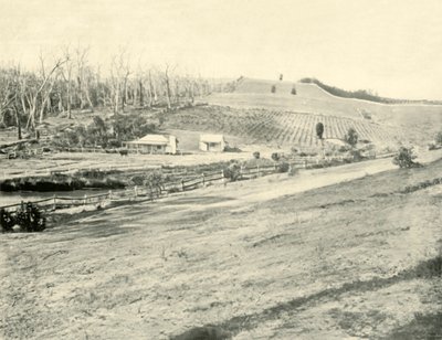 Bush Workmans Home, Gippsland, Victoria, 1901. tekijältä Unbekannt