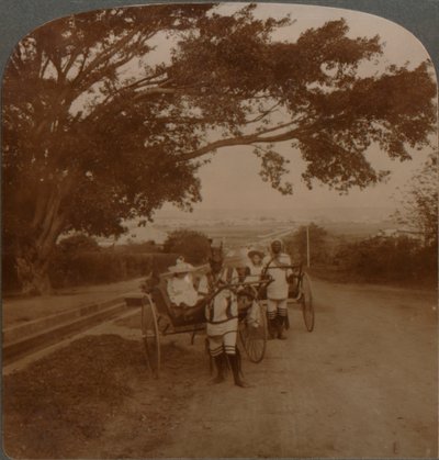 Alkuperäisten asukkaiden piirtämät taksit asuintien varrella, Durban, Etelä-Afrikka, c1900 tekijältä Unbekannt