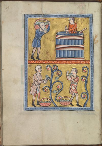 Kalenteri, syyskuu, miehet poimivat ja polkevat viinirypäleitä - Akvitanian Eleanorin psalttari (n. 1185) - KB 76 F 13, folium 009v. tekijältä Unbekannt