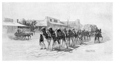 Kamelitiimi, Wilcannia, Uusi Etelä-Wales, Australia, 1886 tekijältä Unbekannt