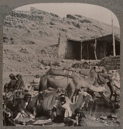 Kamelijuna Jerashista, kastelee Elisan lähteellä, 1900 tekijältä Unbekannt