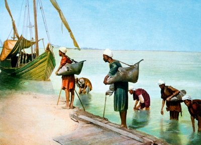 Vettä kuljettava, Luxor, Egypti, 1900-luku tekijältä Unbekannt