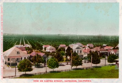 Castro Street, Hayward, Kalifornia, 1905 tekijältä Unbekannt