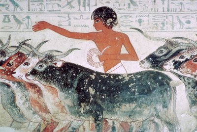 Tarkastettaviksi tuotu karja: seinämaalaus Nebamunin haudasta nro 5, Egypti, n. 1350 eaa. tekijältä Unbekannt