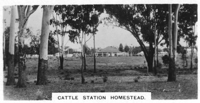 Karjaaseman kotitila, Australia, 1928 tekijältä Unbekannt