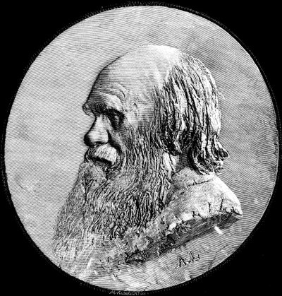 Charles Darwin, 1882 tekijältä Unbekannt