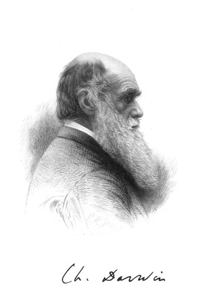 Charles Darwin, englantilainen luonnontieteilijä, 1880 tekijältä Unbekannt
