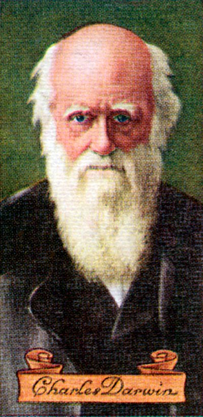 Charles Darwin, otettu savukekorttisarjasta, 1935 tekijältä Unbekannt