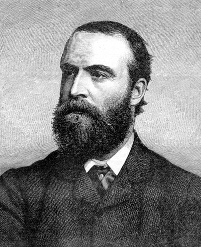Charles Stuart Parnell, 1800-luvun irlantilainen poliitikko, 1874-1891 tekijältä Unbekannt