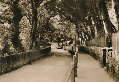 Chine Avenue, Shanklin, I.W., 1920. tekijältä Unbekannt