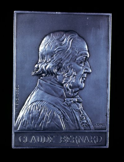 Claude Bernard, 1800-luvun ranskalainen fysiologi, 1913 tekijältä Unbekannt