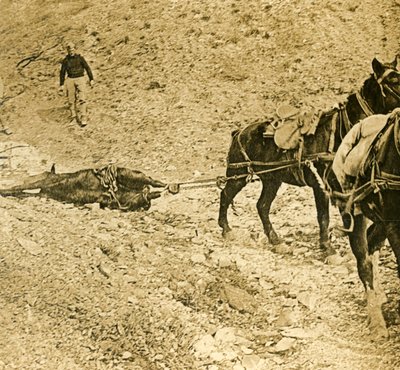 Taistelukentän puhdistaminen, c1914-c1918 tekijältä Unbekannt