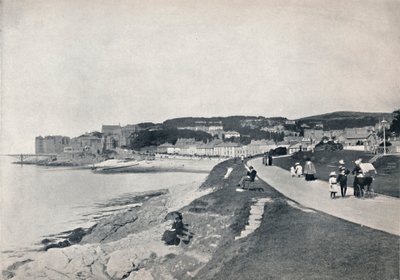 Clevedon - Green Beach, 1895 tekijältä Unbekannt