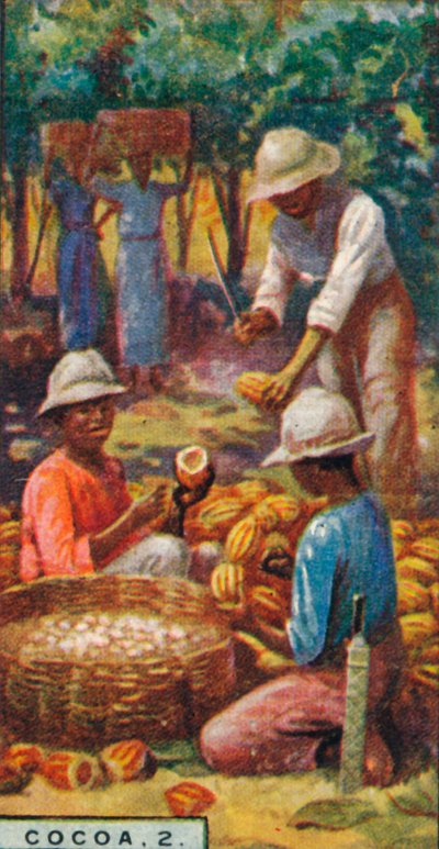 Kaakao, 2. - Avaa palot, Trinidad, 1928 tekijältä Unbekannt