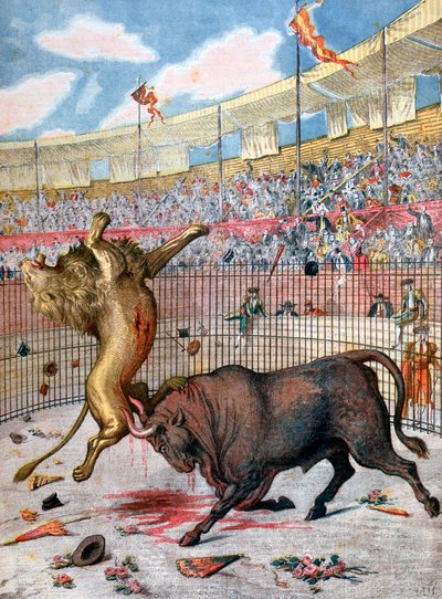 Taistelu leijonan ja härän välillä, Espanja, 1894 tekijältä Unbekannt