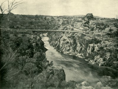 Corra Lynn, Launcestonin lähellä, 1901. tekijältä Unbekannt