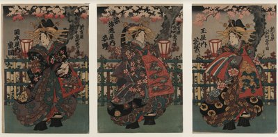 Kurtisaanit Shigeoka, Sugatano ja Hanamurasaki. Triptyykki. Sarjasta The Beauties of the Yoshiw tekijältä Unbekannt