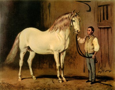 "Cream State Carriage Horse of Queen Victoria