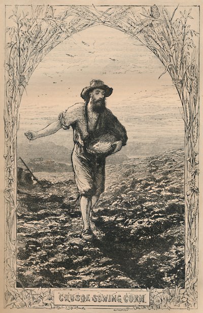 Crusoe kylvömaissi, c1870 tekijältä Unbekannt
