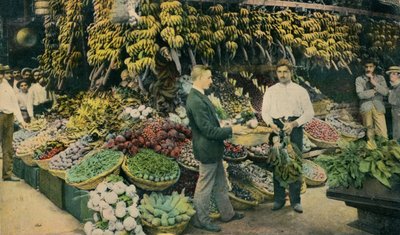 Kuuban hedelmäkauppa, c1910 tekijältä Unbekannt