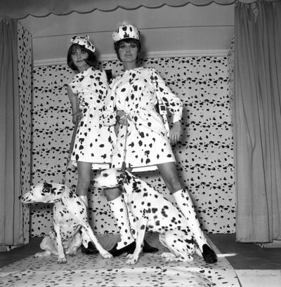 Dalmatialainen tila tekijältä Unbekannt