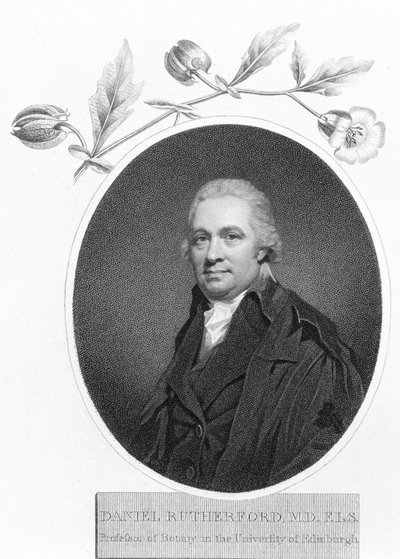 Daniel Rutherford, 1700-luvun loppu tekijältä Unbekannt