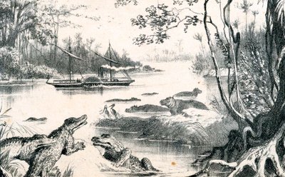 David Livingstone navigoi Zambezissa, Afrikassa, 1852-1864 c1878 tekijältä Unbekannt