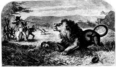 David Livingstone, syntyperäinen koulumestari Mebalwe pelasti leijonalta, 1857 tekijältä Unbekannt