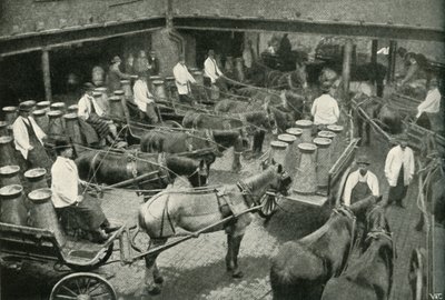 Toimituspakettiautot alkaen Messrs, Freeth and Pococks Central Depotista Vauxhallissa, 1902. tekijältä Unbekannt