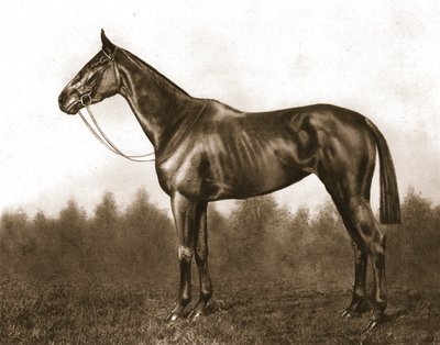 Demure, 1911. tekijältä Unbekannt