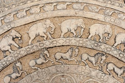 Yksityiskohta; historiallinen kivi-reliefi; kuukivi eläinkuvioilla; norsut; hevoset; kivi portaissa; Kuningas Parakrama Bahu I:n neuvostosali; kantakaupungin alueella; Polonnaruwa; Sri Lanka; Aasia tekijältä Unbekannt