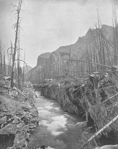 Devils Canyon, Banff, North West Territories, Kanada, c1900. tekijältä Unbekannt