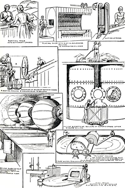 Kaaviot, jotka kuvaavat rättien ja esparto-ruohon valmistusta paperinvalmistukseen, c1917 tekijältä Unbekannt