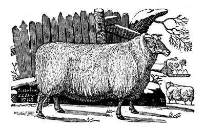 Dishley New Leicester -lammas, 1811 tekijältä Unbekannt