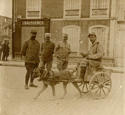 Koirakärryt, Ranska, c1914-c1918 tekijältä Unbekannt