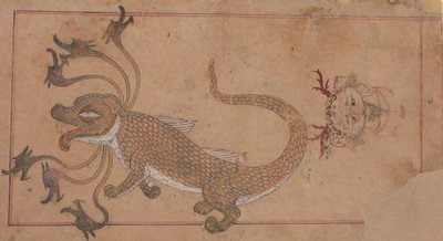 Lohikäärme, 1500-1700-luku. tekijältä Unbekannt