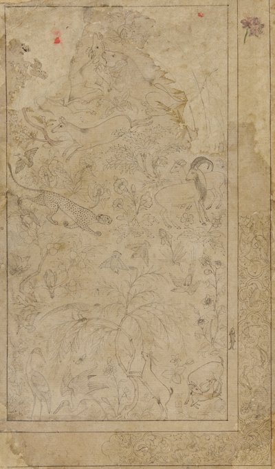 Piirustus eläimistä ja kasveista, 1600-luvun alku. tekijältä Unbekannt