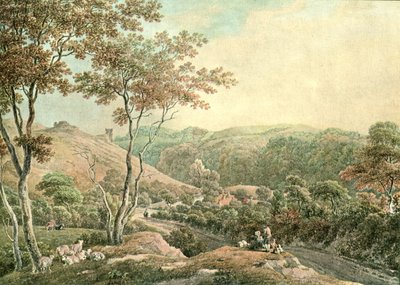 Drysllwynin linna, Carmarthenshire, 1900. tekijältä Unbekannt