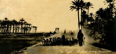 Egypti - Paimen ajaa kotiin, c1918-c1939. tekijältä Unbekannt