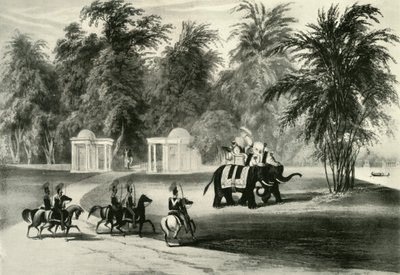 Elefantit ja ruumiinvartija Barrackpore Parkissa, 1820, 1925. tekijältä Unbekannt