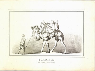 En Kamel med fører fra Sardes. Kuvat aiheesta Brogede rejsebilleder av Jerichau-Baumann, Elisabeth og utgitt av Forlagsbureauet (København, 1881) tekijältä Unbekannt